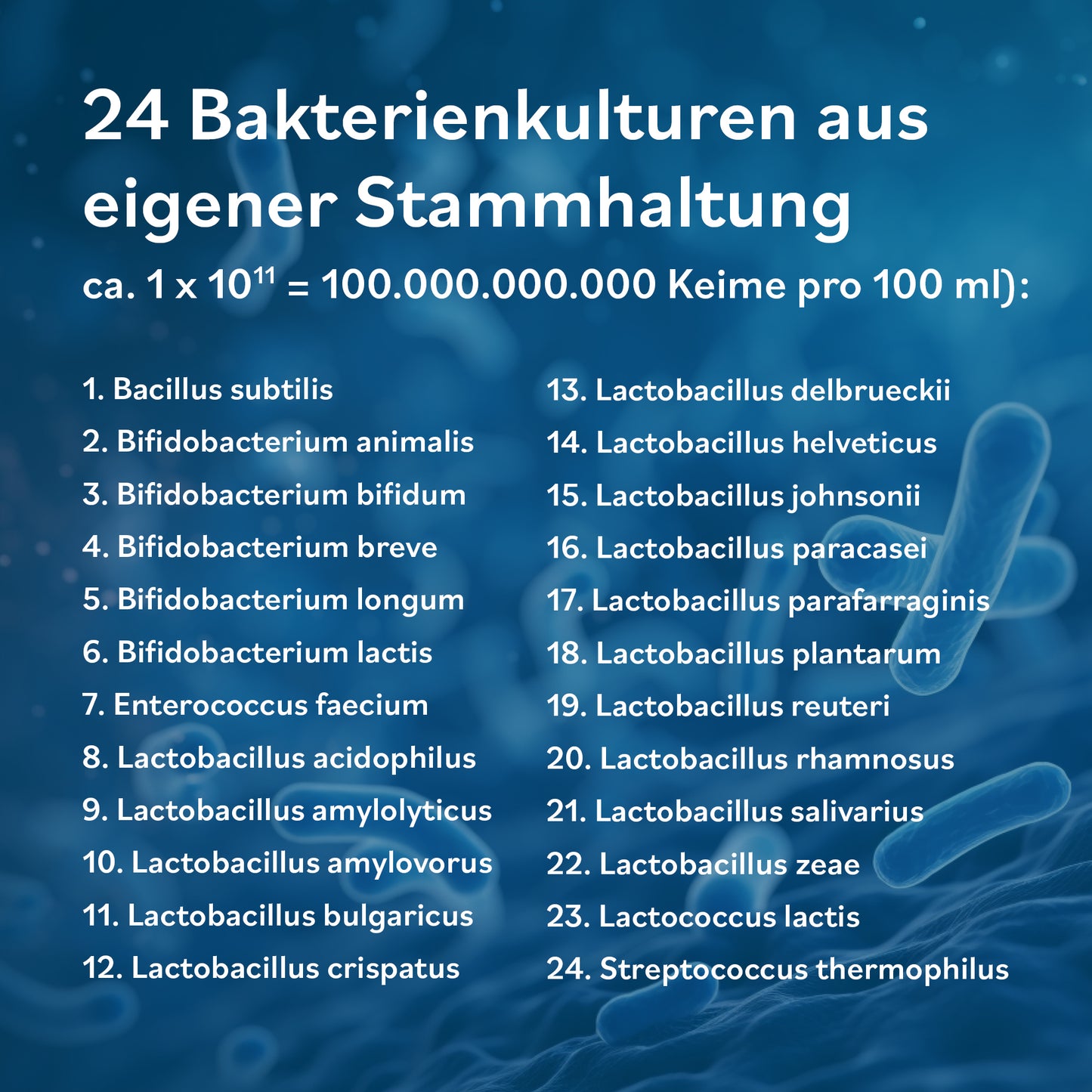 JAB Flora 24