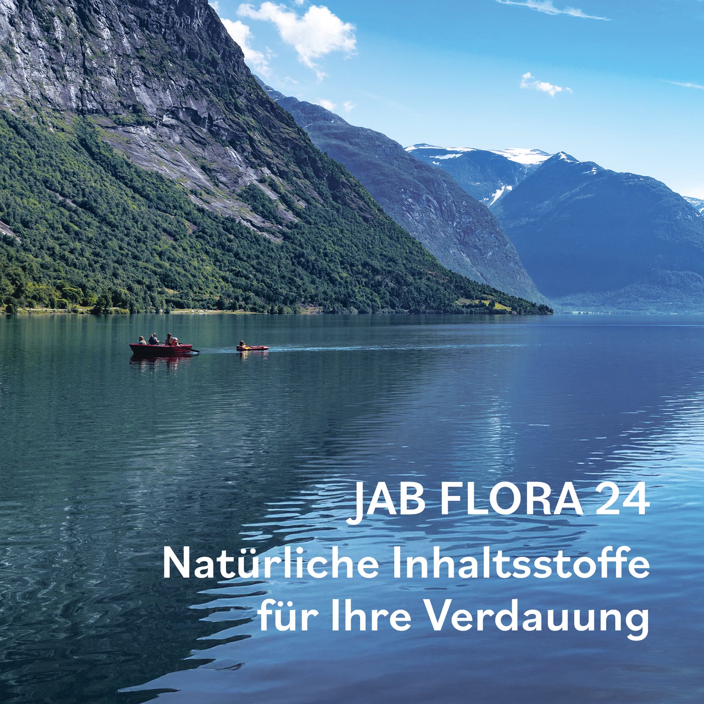JAB Flora 24